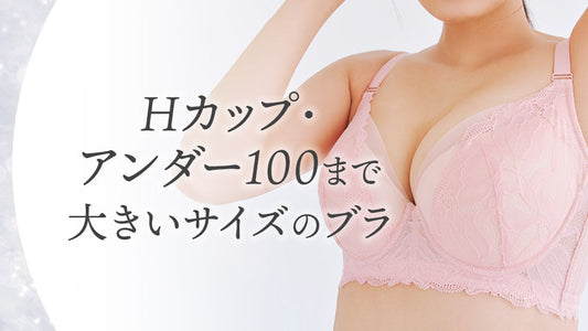 Hカップ・アンダー100まで｜大きいサイズのブラ
