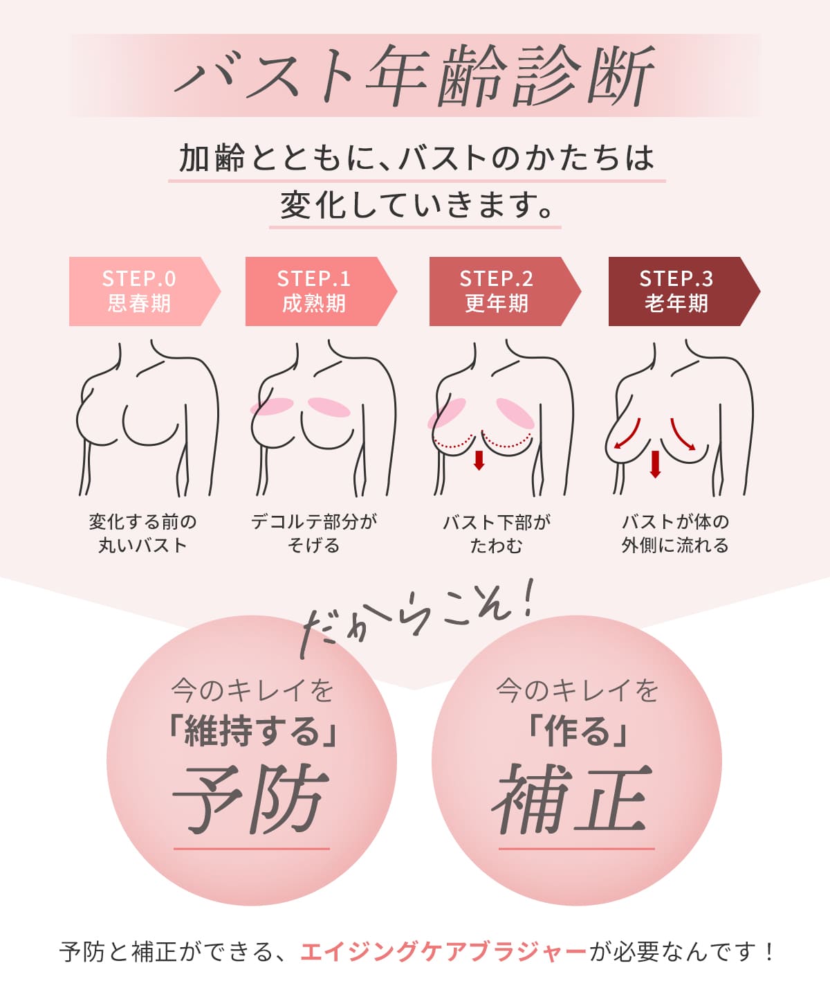 
                  
                    リフトアップメリテ（Mérite）
                  
                