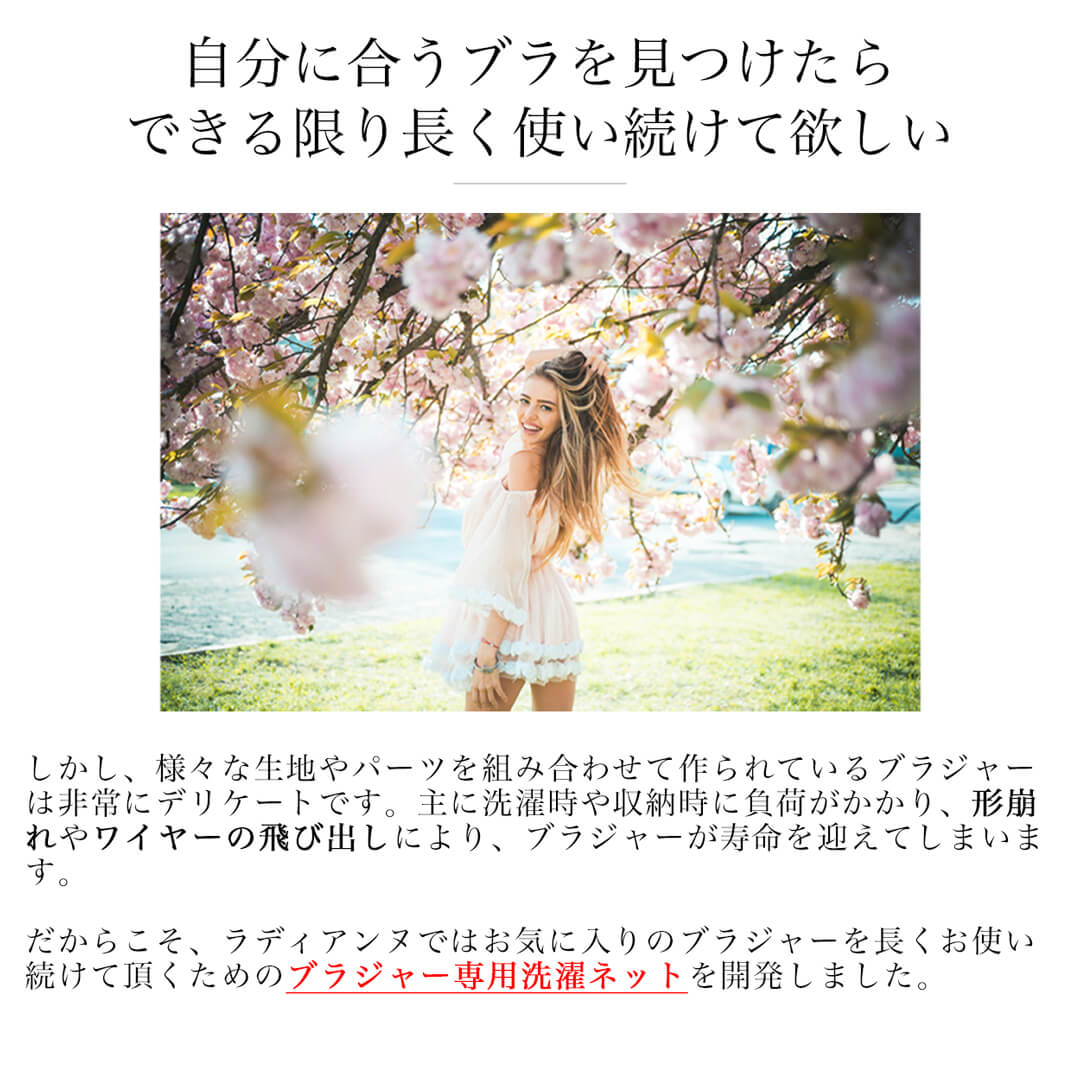 ブラジャー専用洗濯ネット