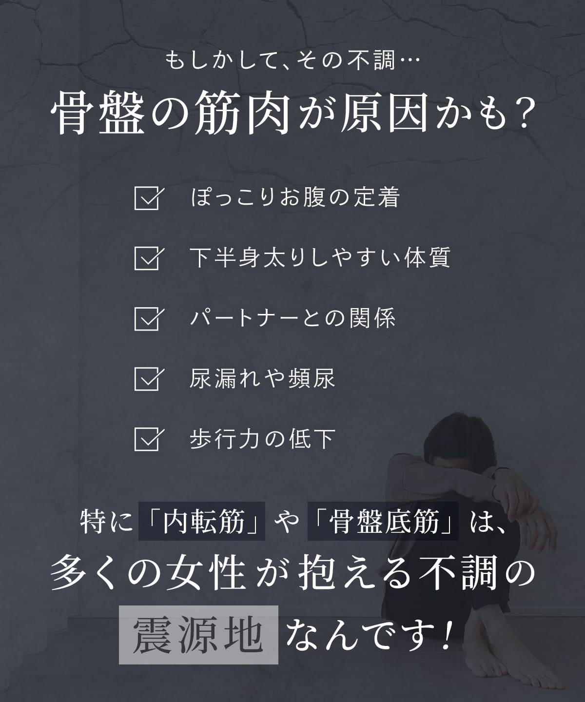 エナイ ヒップ＆レッグトレーナー